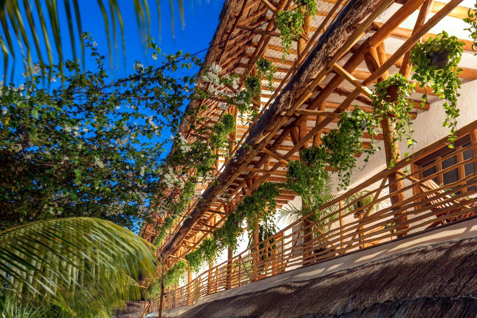 La Palma Holbox Ξενοδοχείο Εξωτερικό φωτογραφία